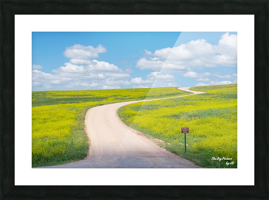 Custer State Park Roadway Picture Frame print