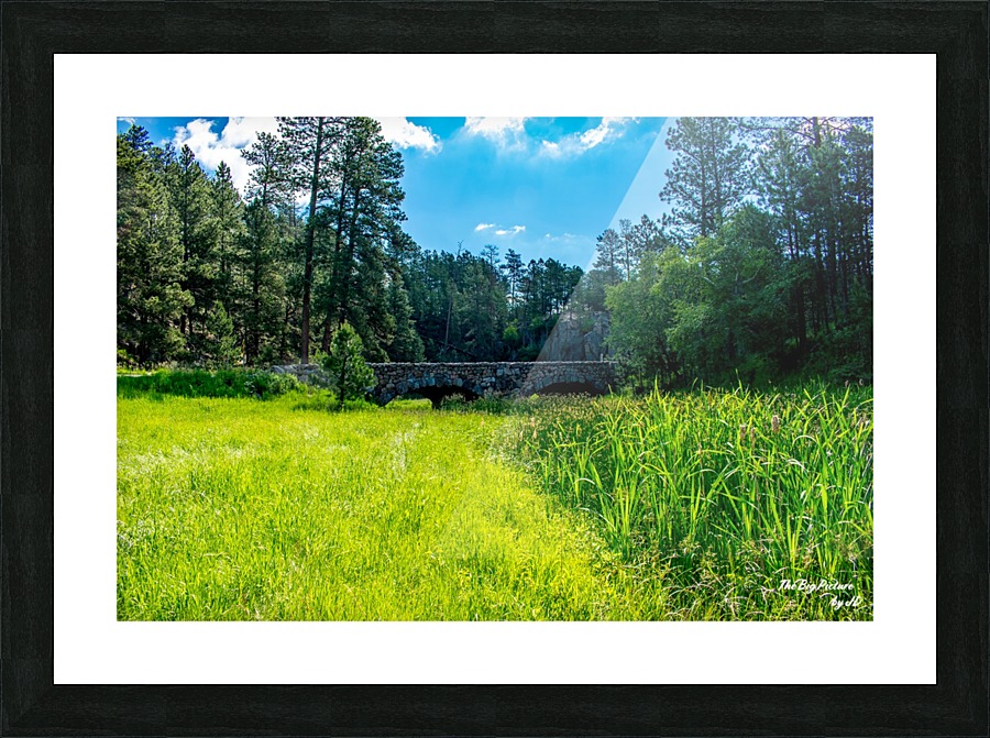 Custer State Park Bridge Picture Frame print