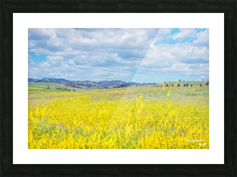 Custer State Park Fields Picture Frame print