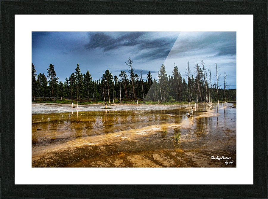 Yellowstone Branch Picture Frame print