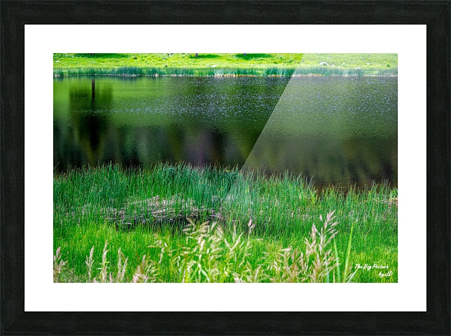 Yellowstone Pond Picture Frame print