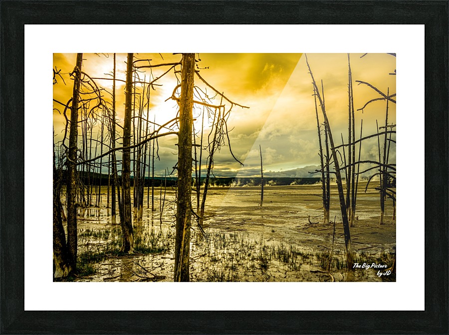 Yellowstone Scent Picture Frame print