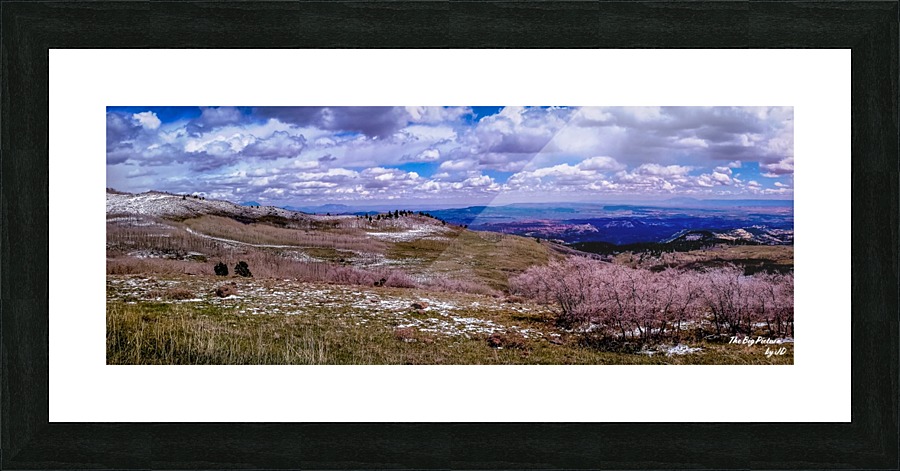 Grand Staircase (2) Picture Frame print