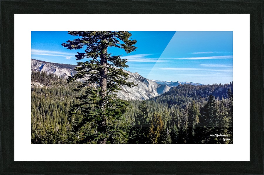 Olmsted Point Picture Frame print