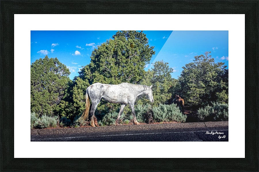 Canyon De Chelly Horses Picture Frame print