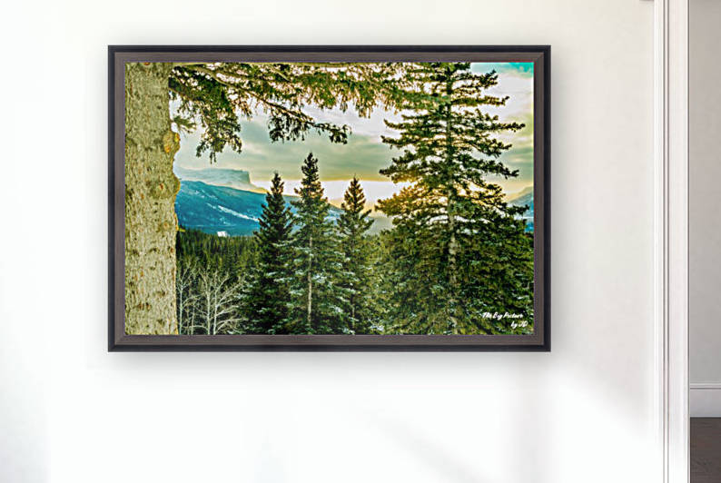 Overlander Lookout Reproduction