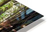 Cathedral Walk HD Metal print