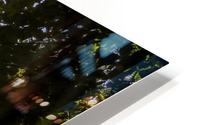 Looking Up  HD Metal print