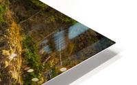 Just Rugged HD Metal print