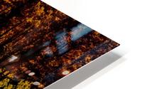 Campbel Lake HD Metal print