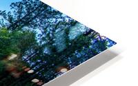 Custer State Park Bridge HD Metal print