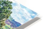 Custer State Park Bison Tree HD Metal print