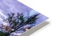 Nakusp Curve HD Metal print