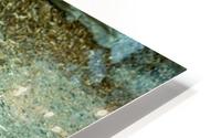 Yellowstone Fred Step HD Metal print