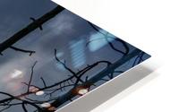 Yellowstone Scenty HD Metal print
