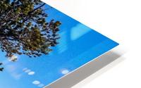 Olmsted Point Landscape HD Metal print
