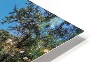 Yosemite Lower Falls Trail HD Metal print
