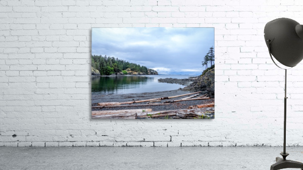 Neck Point Beach Logs Wall Preview