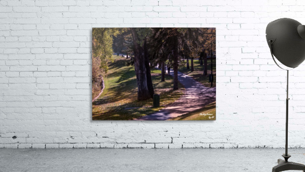 Saskatoon Park Wall Preview