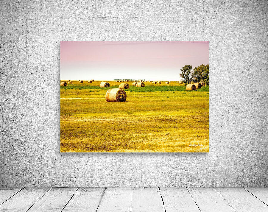 Bales Saskatchewan Wall Preview