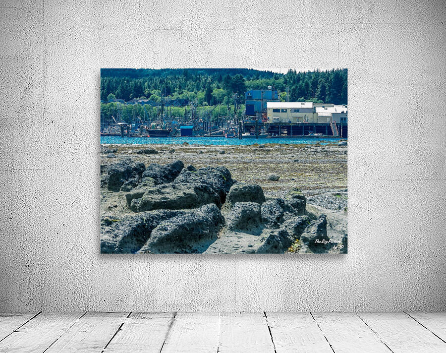 Port Hardy Scene Wall Preview