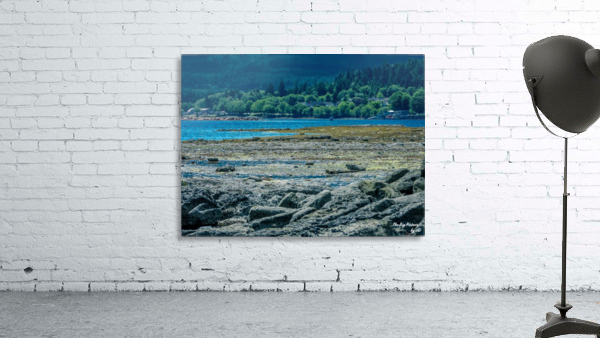 Port Hardy Rocks Wall Preview