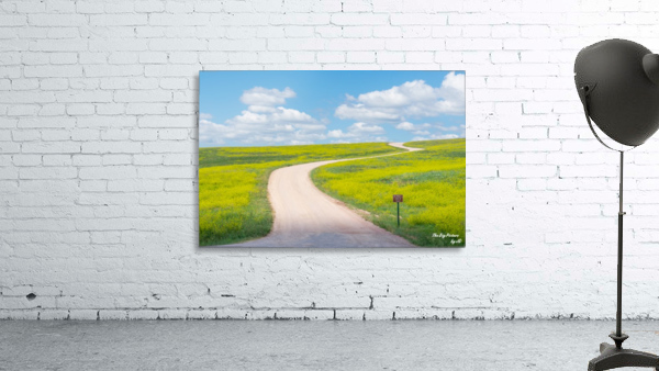 Custer State Park Roadway Wall Preview