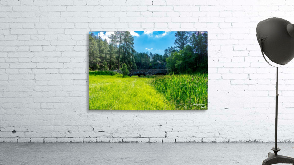 Custer State Park Bridge Wall Preview