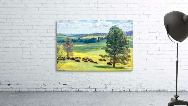 Custer State Park Bison Tree Wall Preview