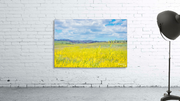 Custer State Park Fields Wall Preview