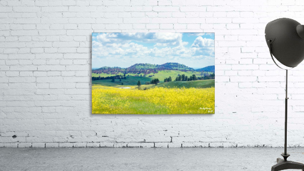 Custer State Park Yellow Wall Preview