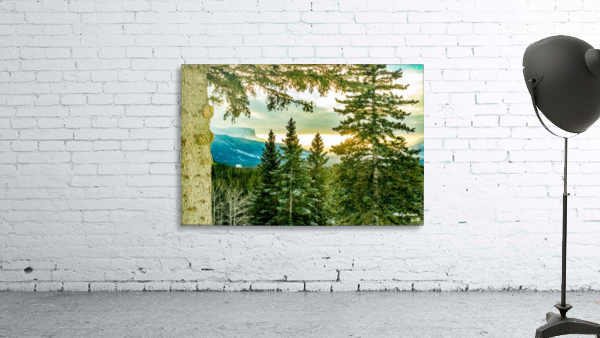 Overlander Lookout Wall Preview