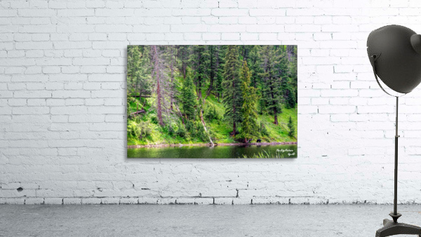 Yellowstone Bear Wall Preview