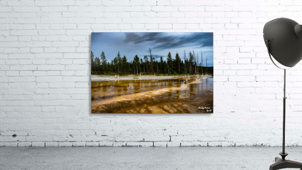 Yellowstone Branch Wall Preview