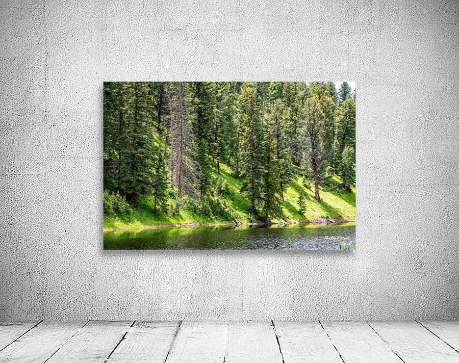 Yellowstone Bear Pond Wall Preview