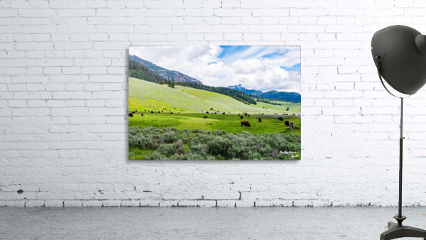 Yellowstone Bison Peak Wall Preview
