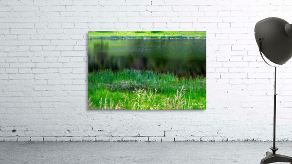 Yellowstone Pond Wall Preview