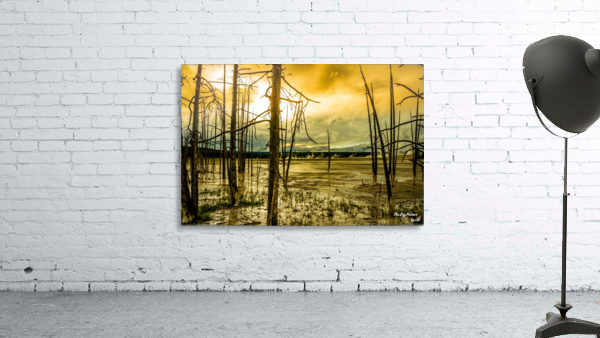 Yellowstone Scent Wall Preview