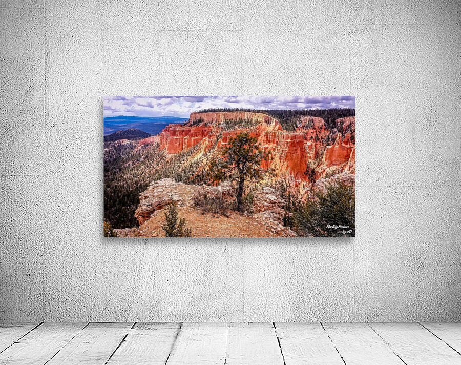 Bryce Canyon (22) Wall Preview