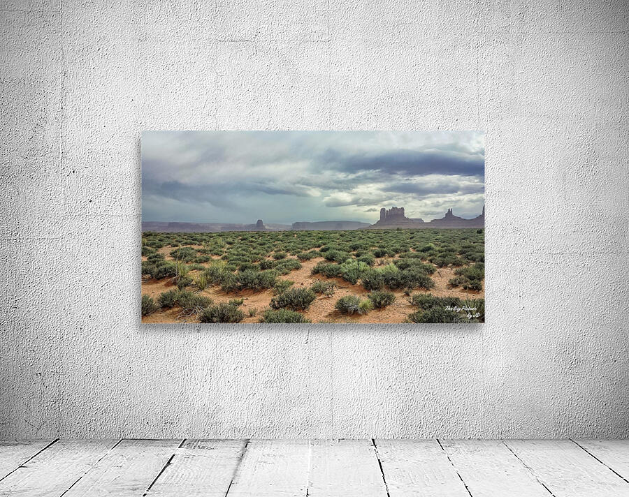 Monument Valley (2) Wall Preview