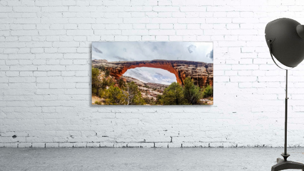 Owachomo Bridge Wall Preview