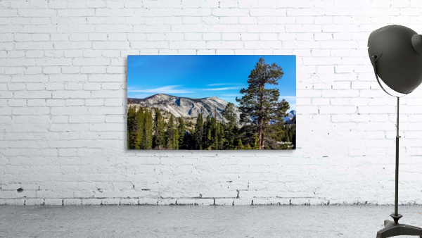 Olmsted Point Landscape Wall Preview