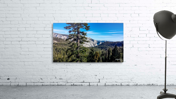 Olmsted Point Wall Preview