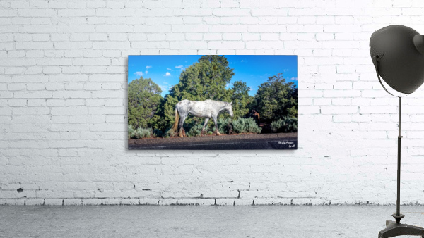 Canyon De Chelly Horses Wall Preview