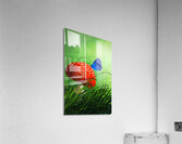 Enchanted Mushroom Acrylic Print
