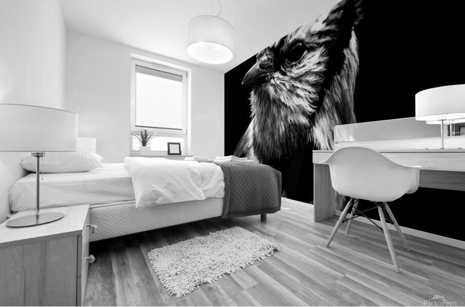 Bluejay in the Shadow Mural print