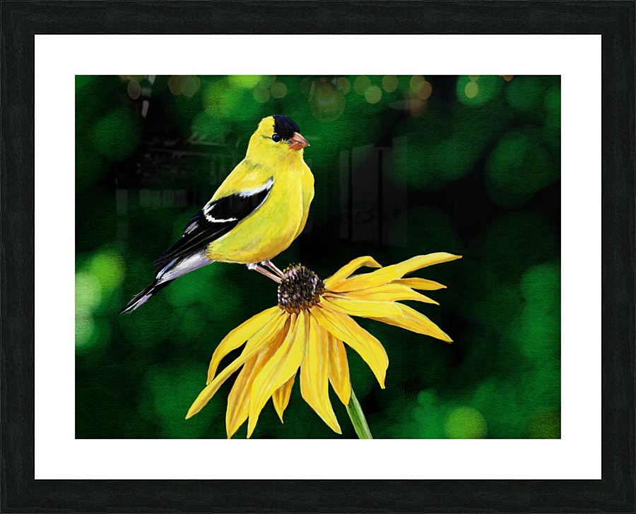 Sitting Pretty Picture Frame print