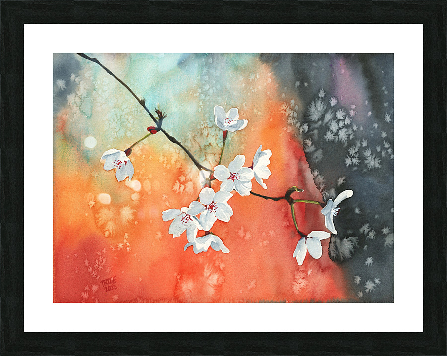 Cherry Blossoms  Picture Frame print