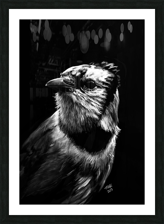 Bluejay in the Shadow Picture Frame print