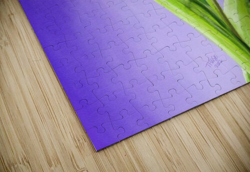A Showcase Tulip Digital Taphath Foose puzzle